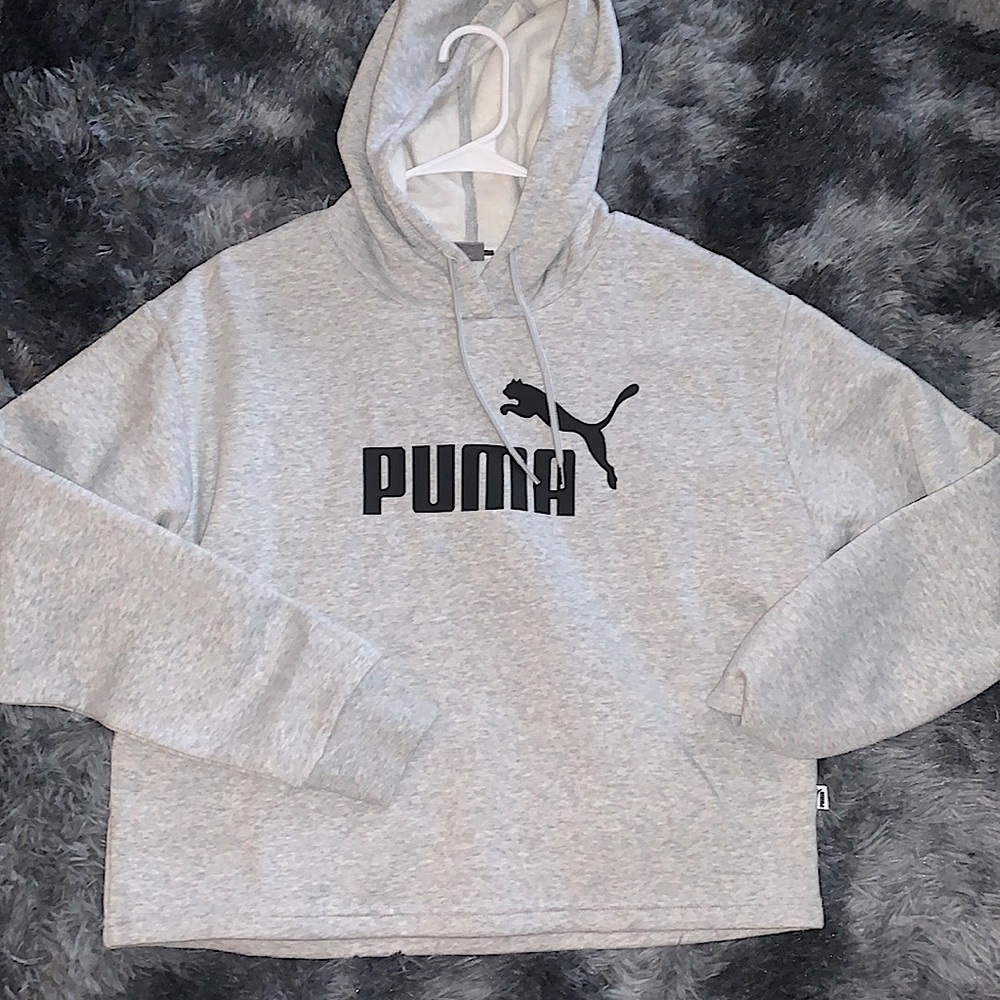 Medium Puma Gray Hoodie